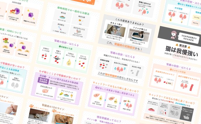 【スライド資料】猫の腎臓病について