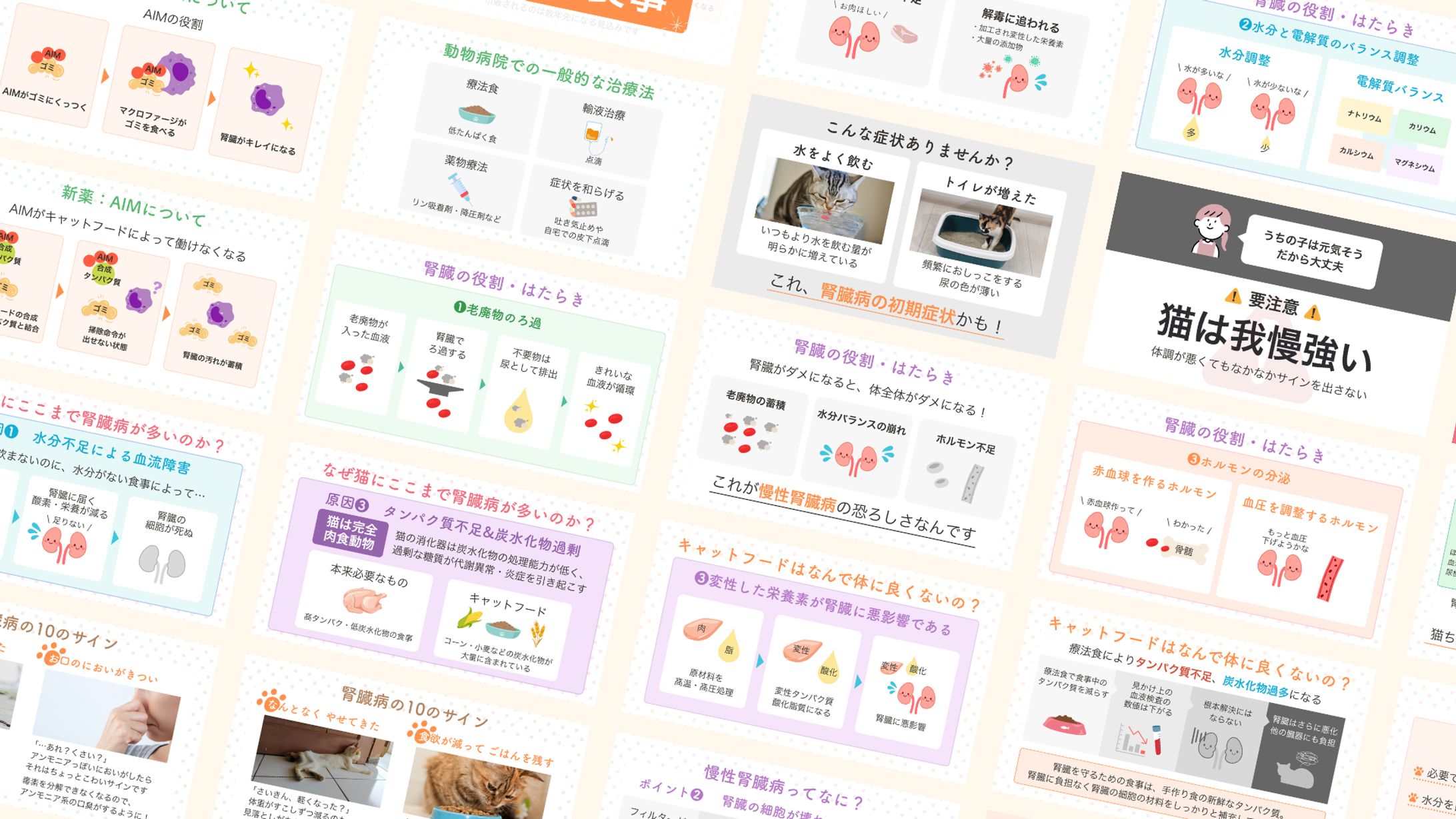 【スライド資料】猫の腎臓病について-1