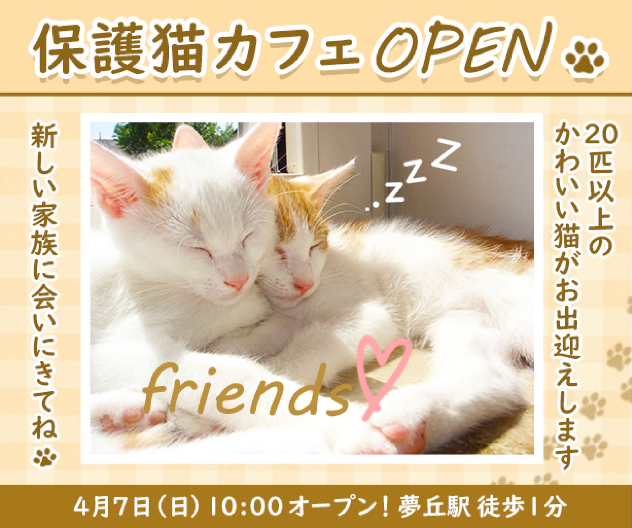 【お題】保護猫カフェバナー-1