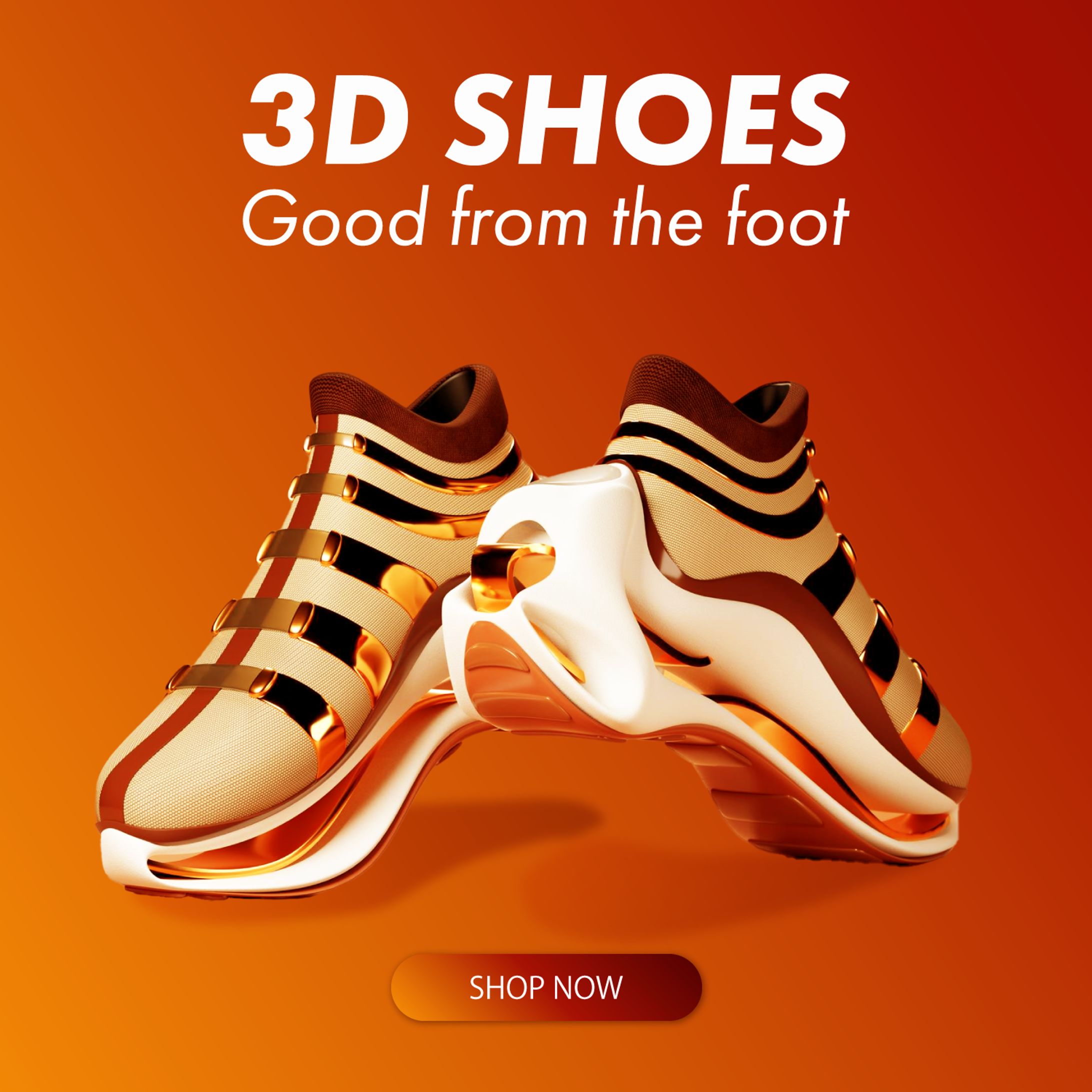 3dshoes banner-1