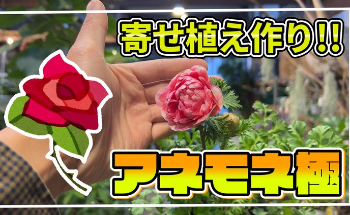 サンプルサムネイル１
