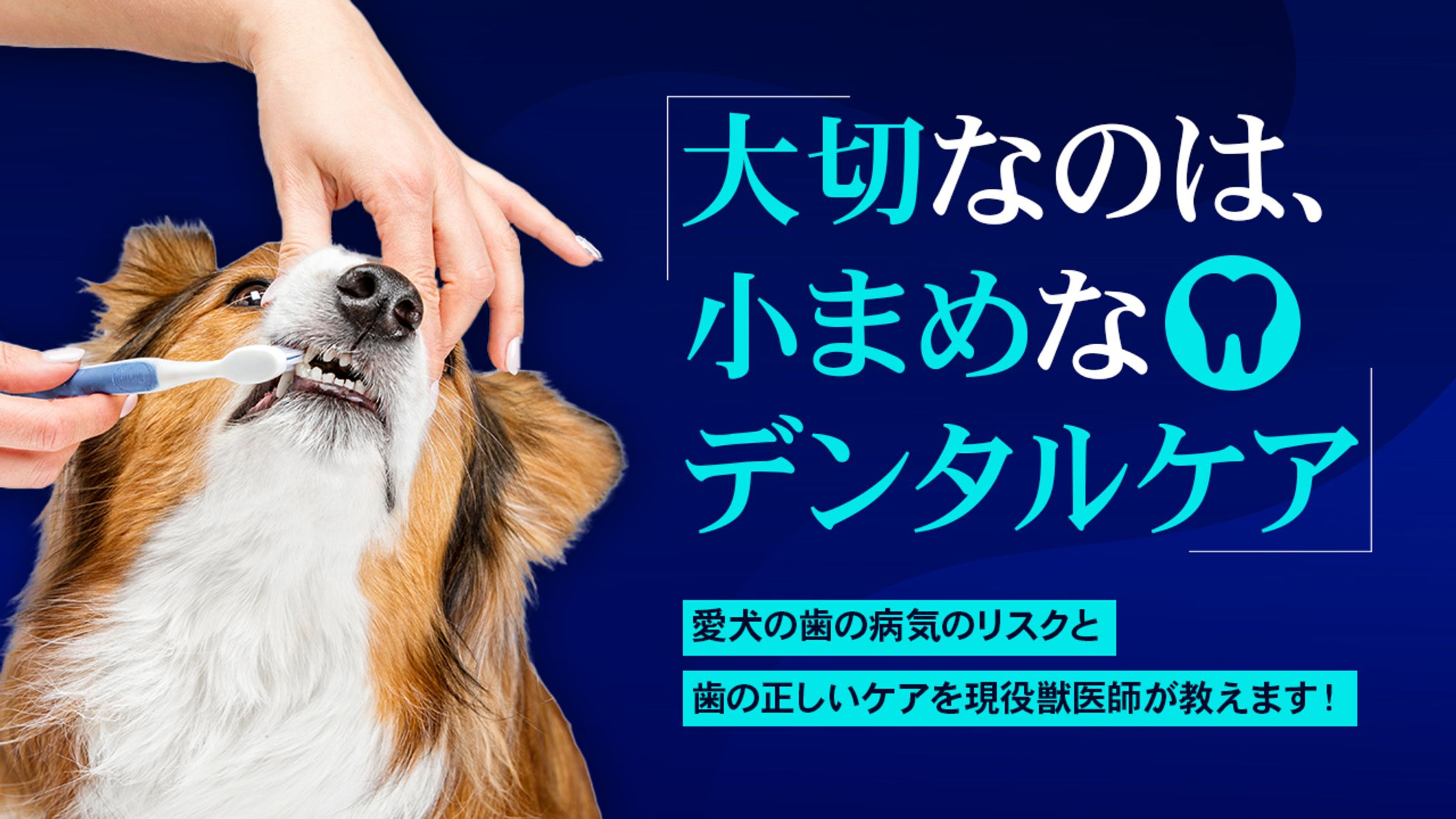 動物系サムネ-1