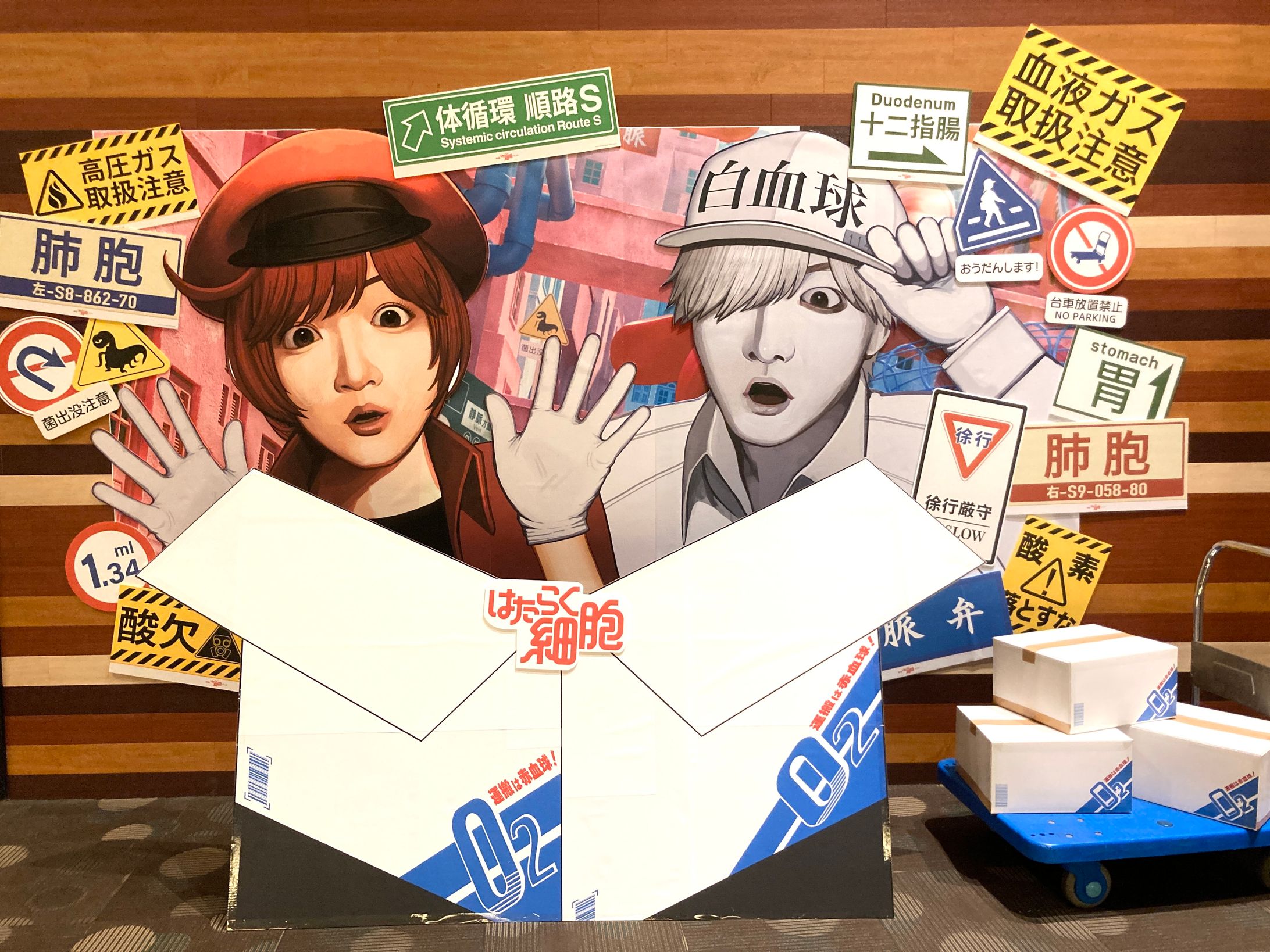 はたらく細胞　劇場装飾コンテスト-1