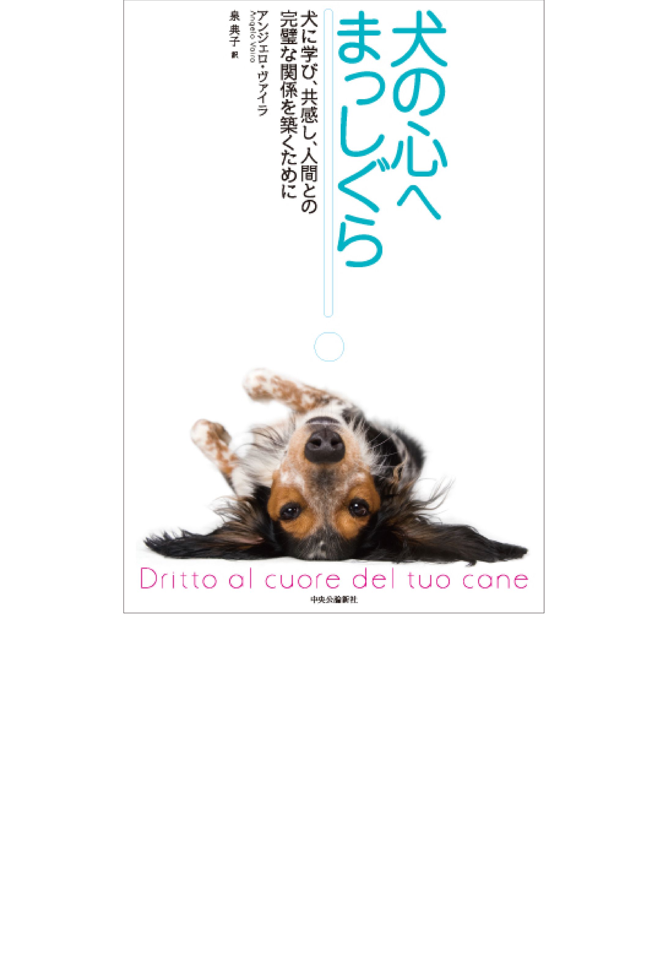 犬の心へまっしぐら-1