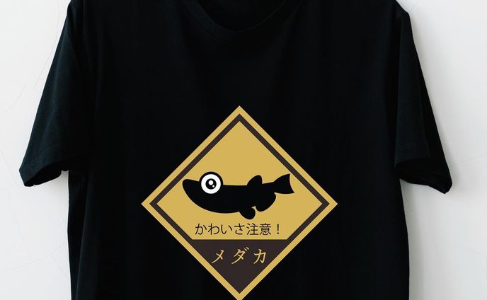 イラストレーター/デザイナー、お仕事＆ご依頼