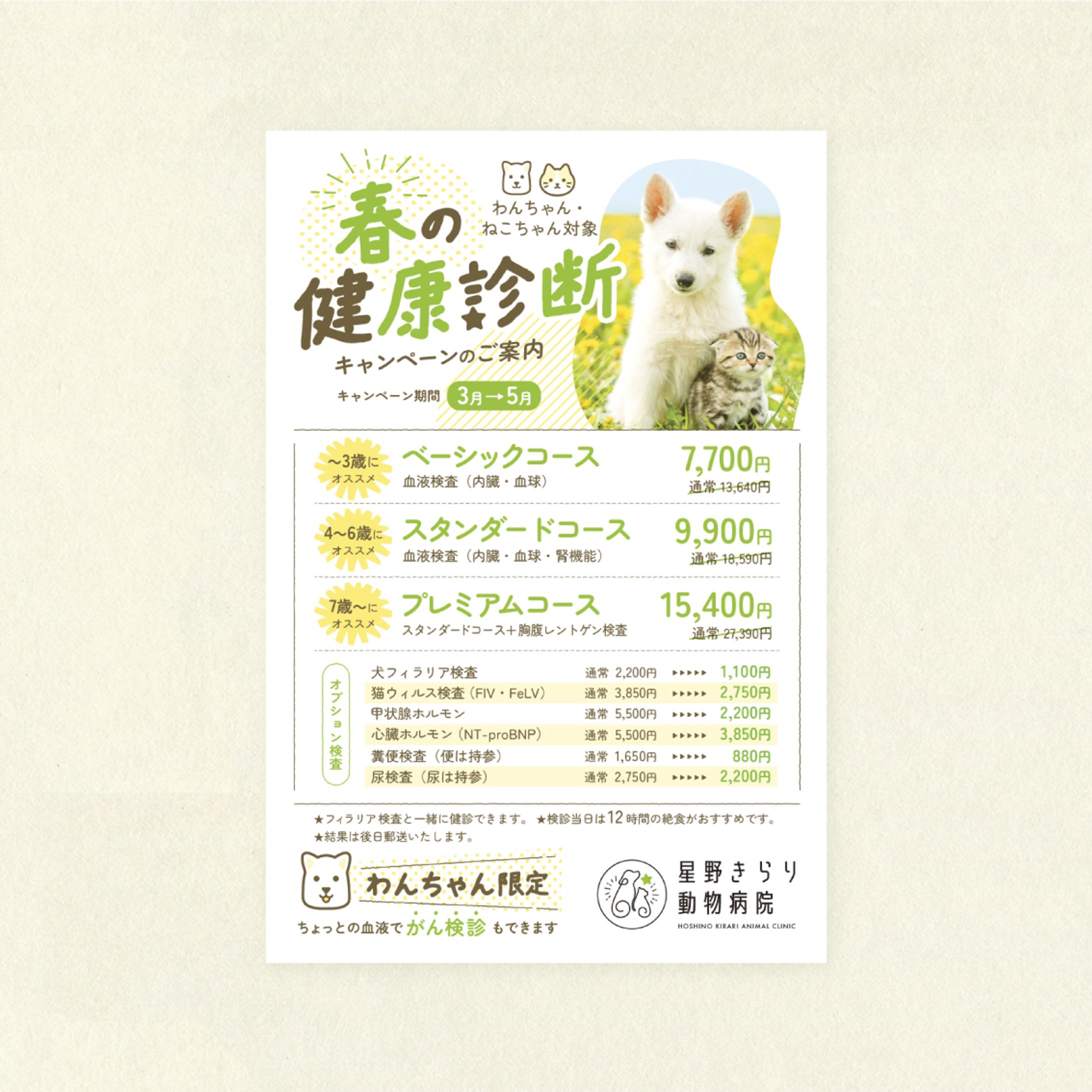 動物病院の健康診断キャンペーンDM-1