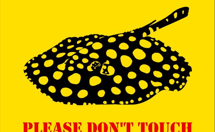 Polka-dot stingray Sticker