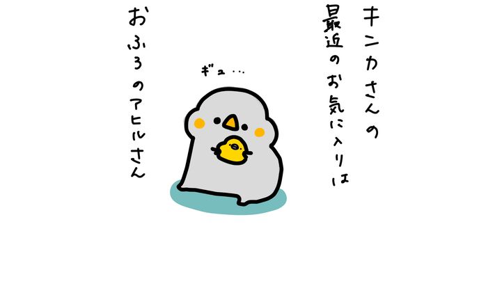 キンカさんのお気に入り