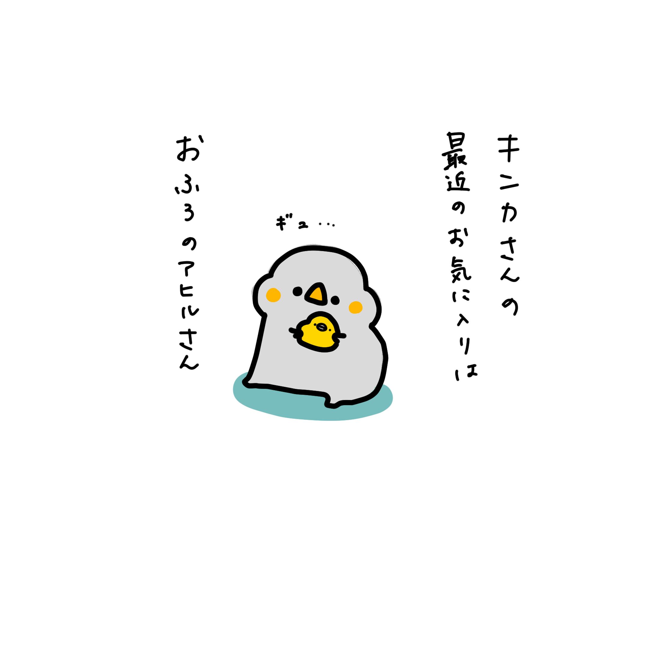 キンカさんのお気に入り-1