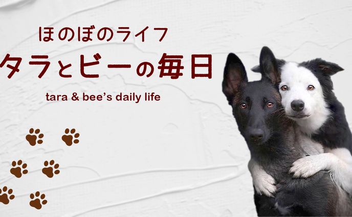 サムネイル【vlog系】