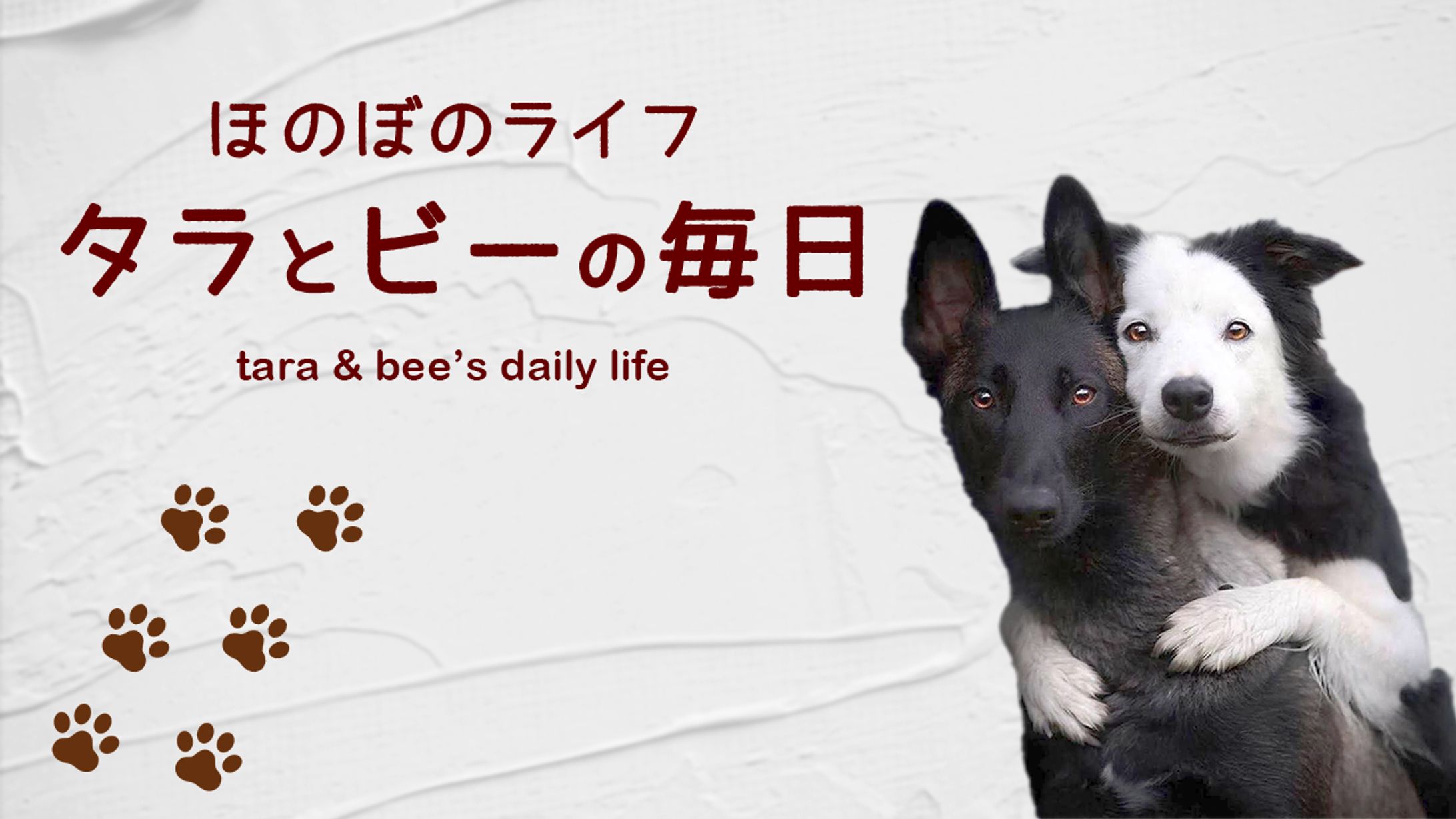 サムネイル【vlog系】-1