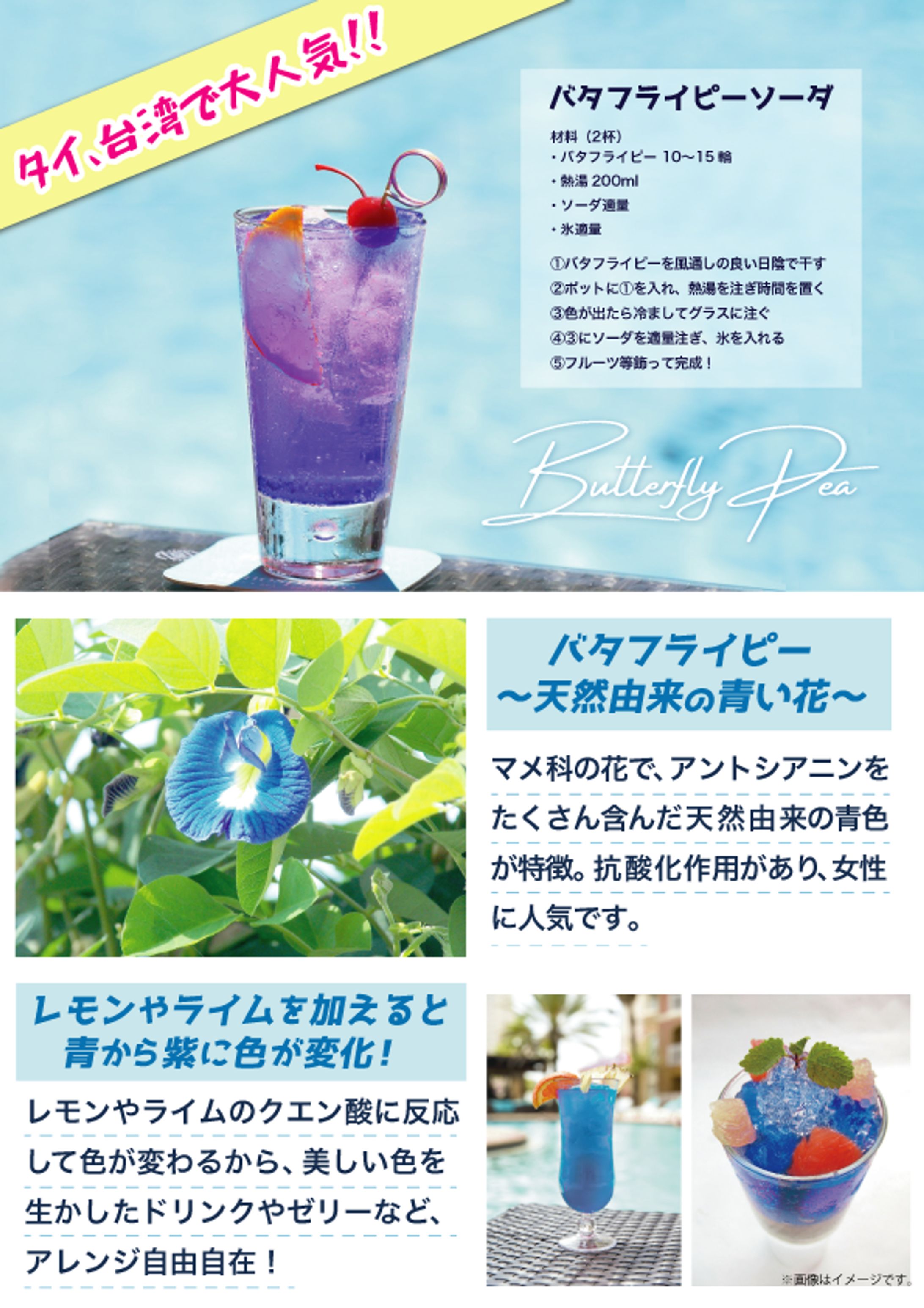 商品ポップデザイン-1