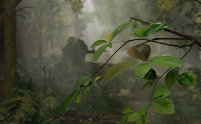 Forest 