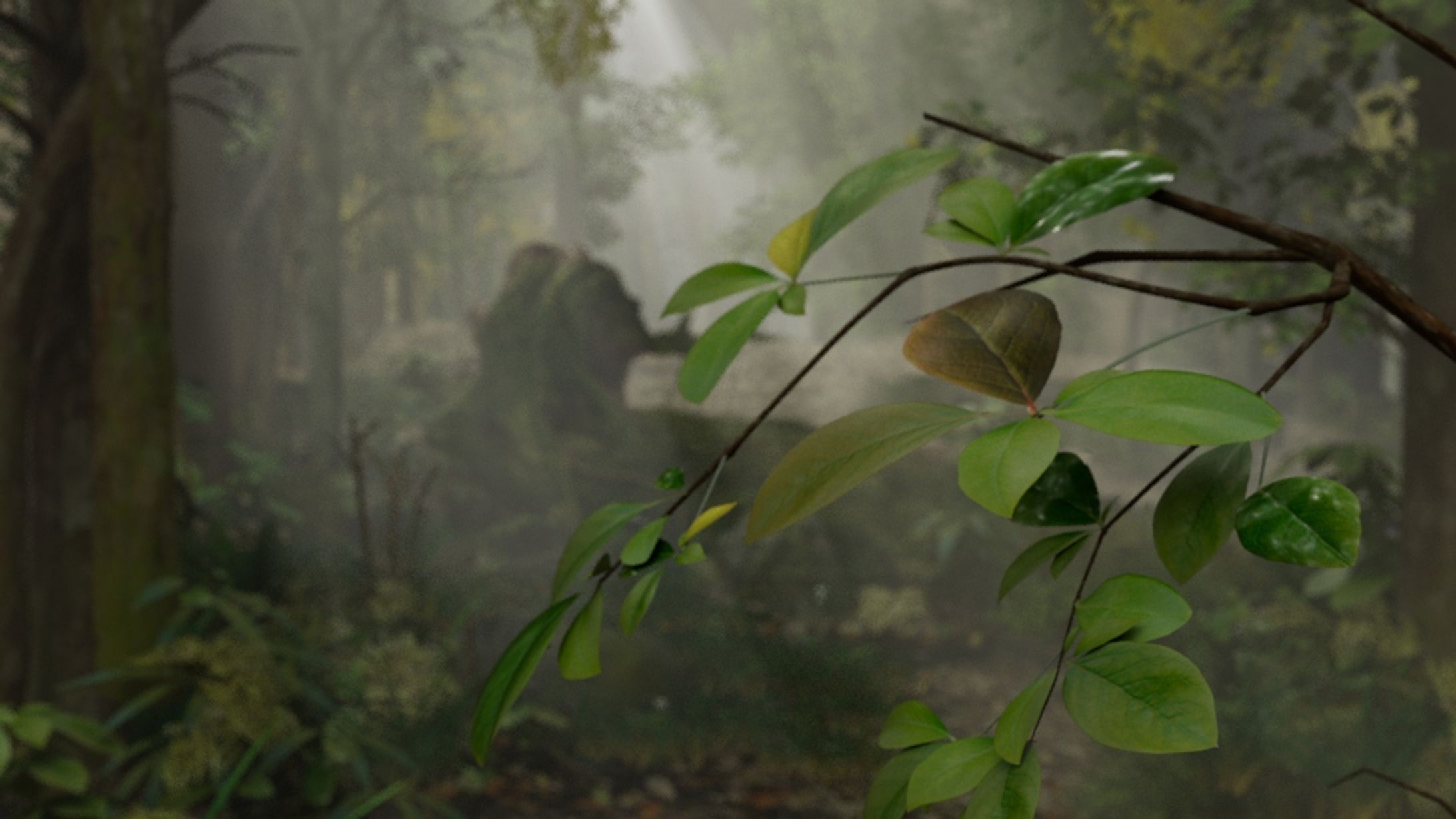 Forest -1
