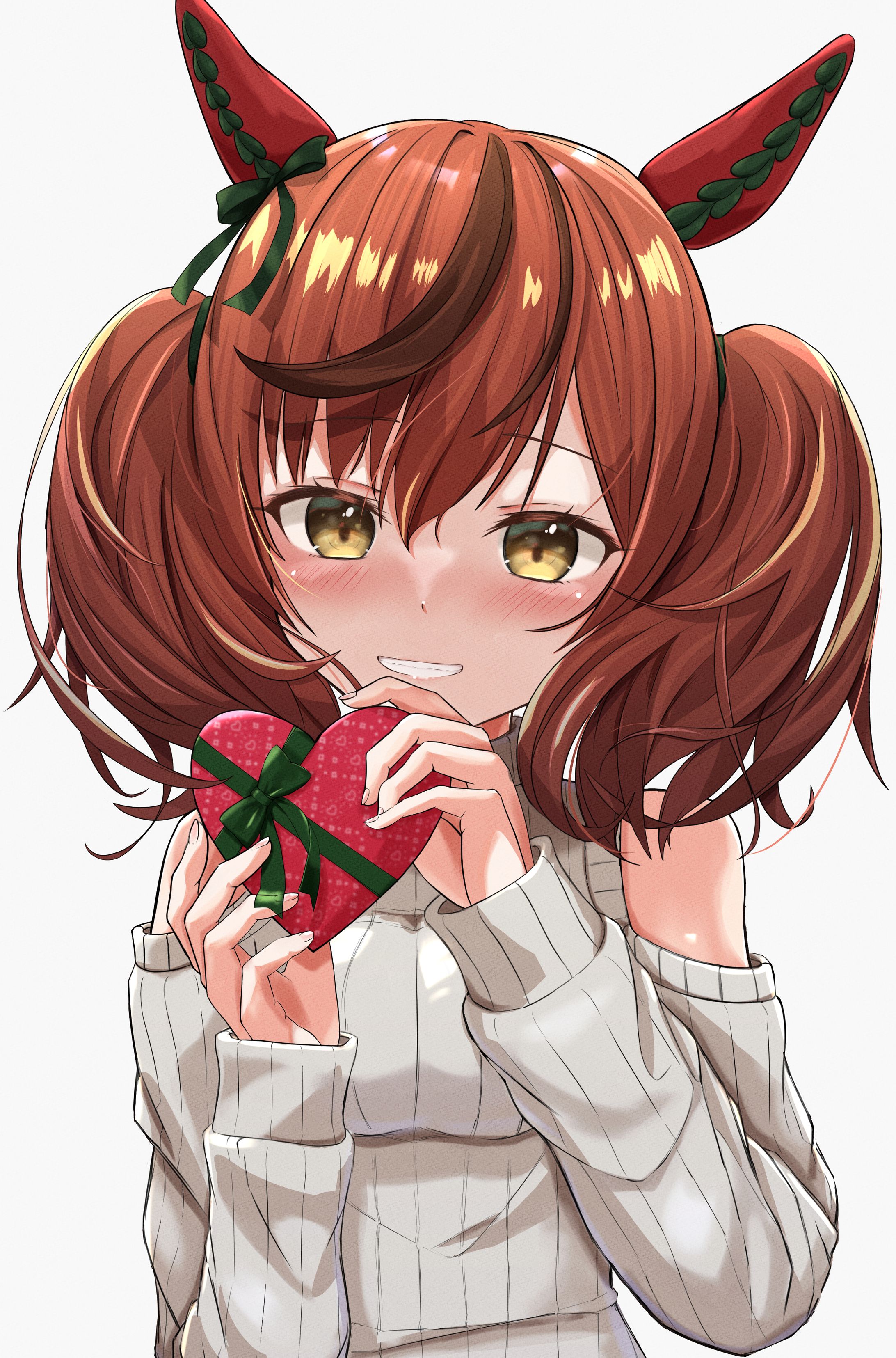 ナイスネイチャ-1