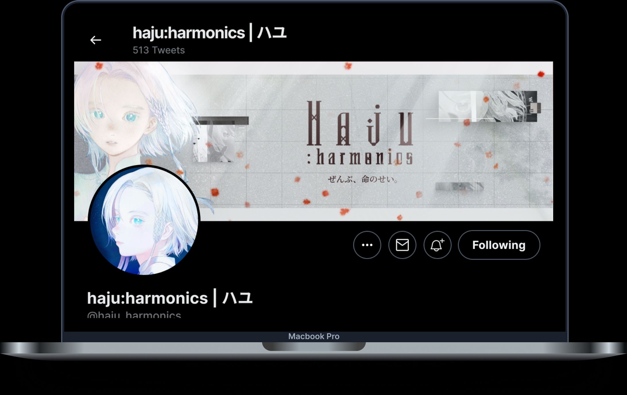 Haju : harmonics Header 2-1