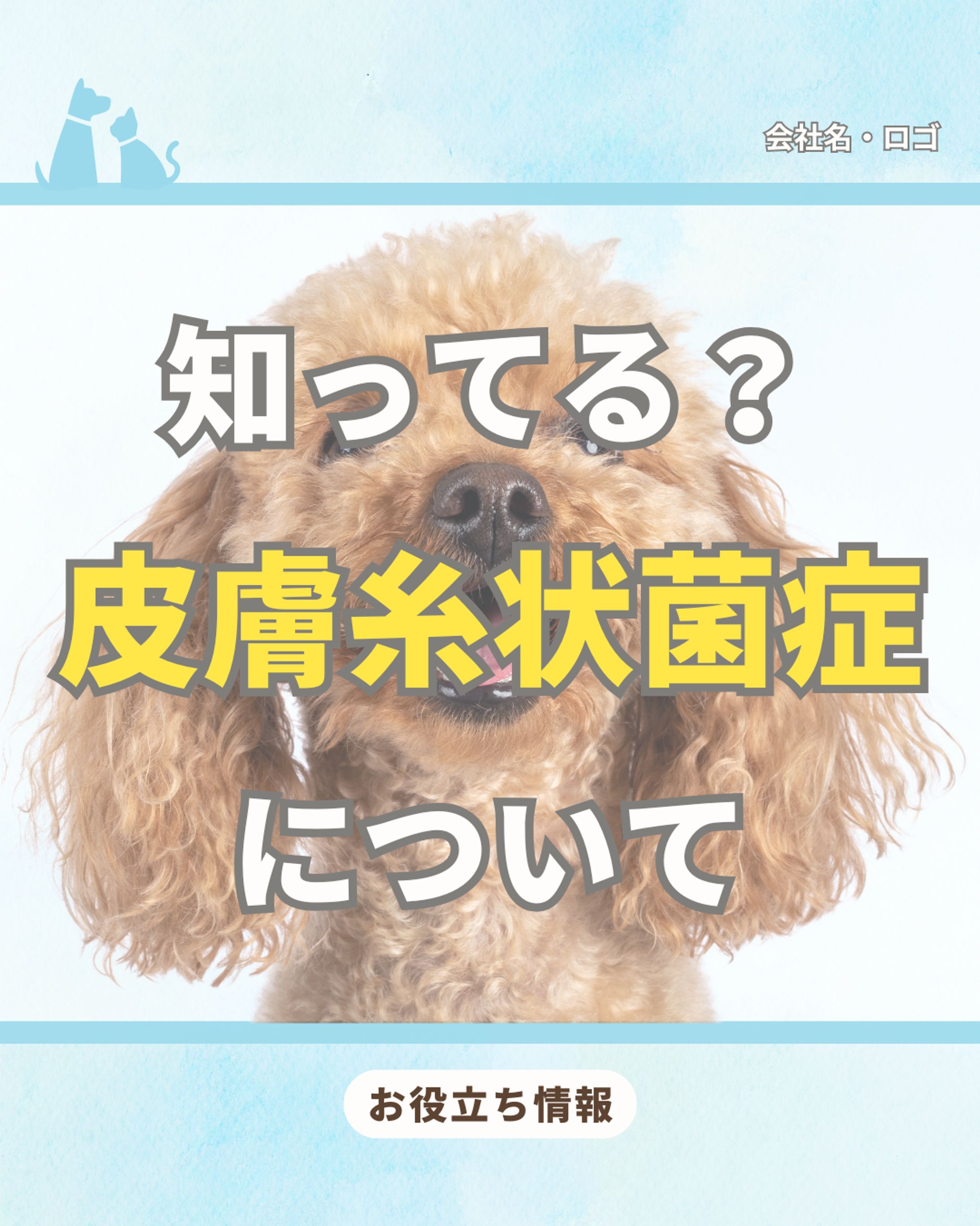 Instagram投稿作成-1