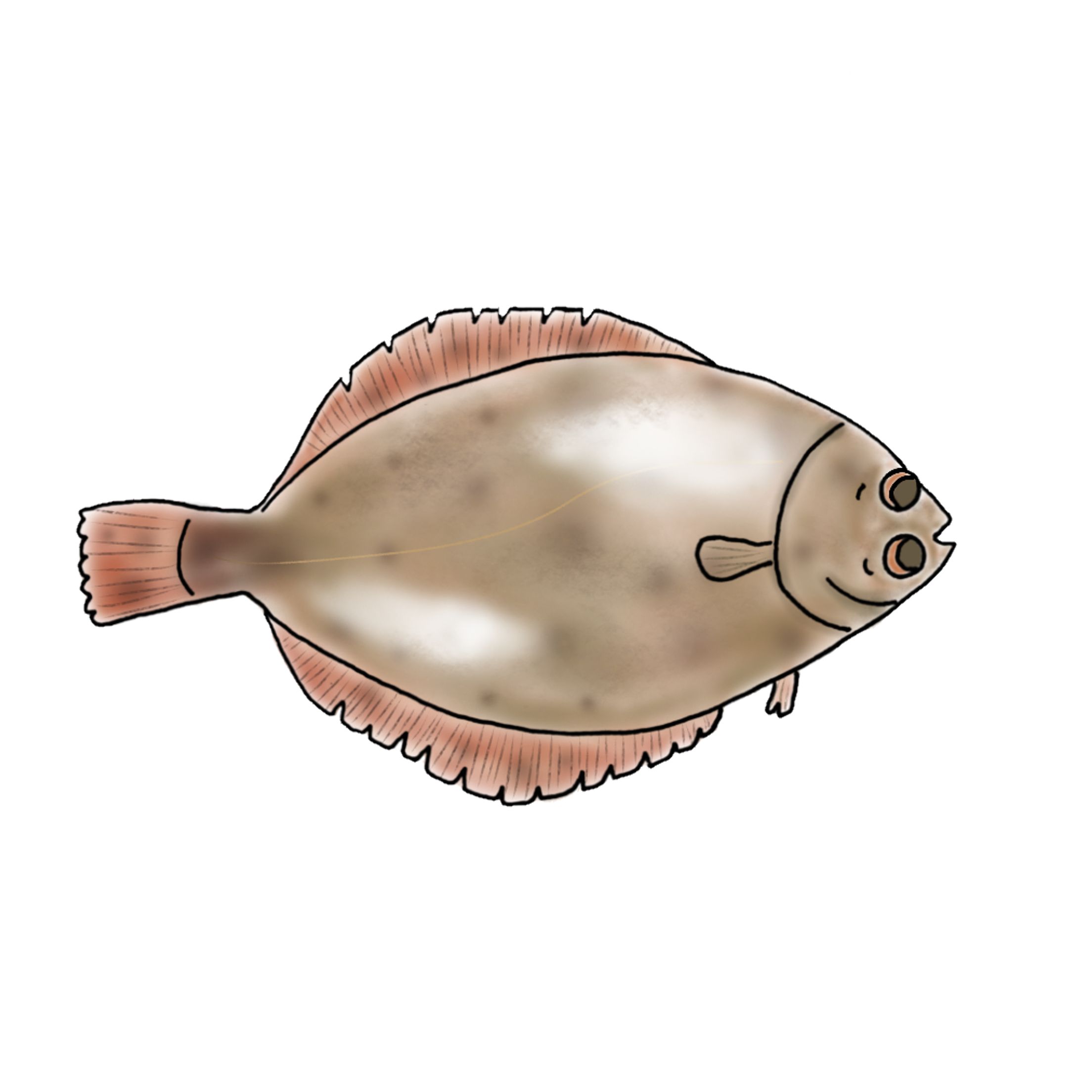 お魚(ホームページ用ご依頼作品)-1