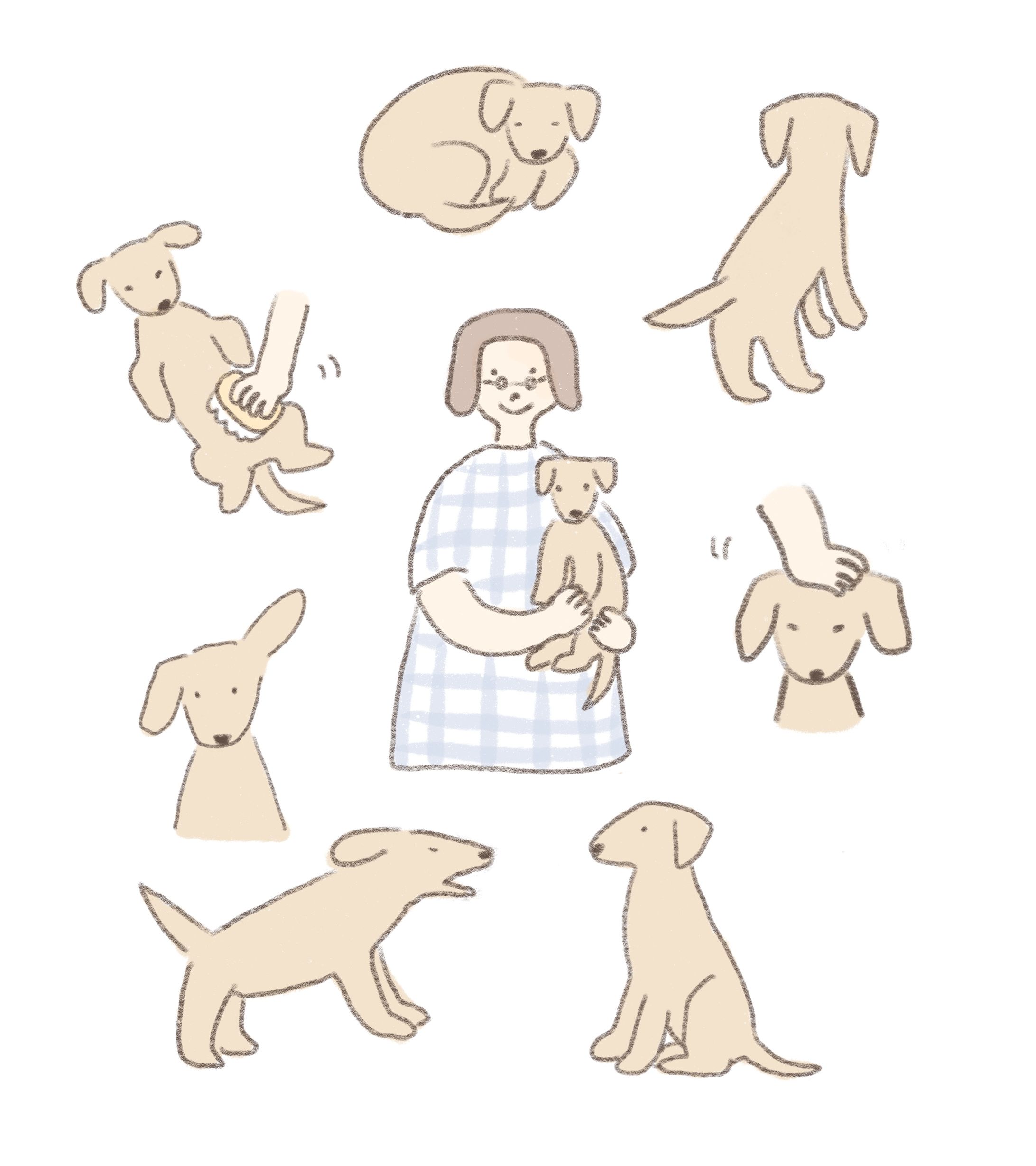 My dog-1
