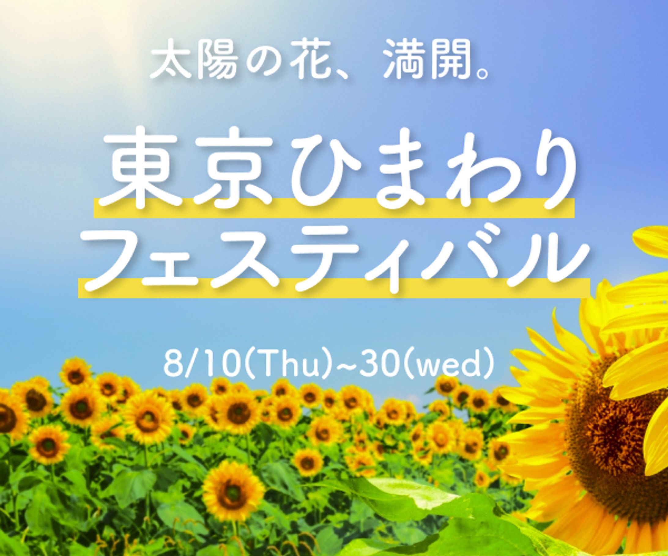 ひまわりフェスティバル-1