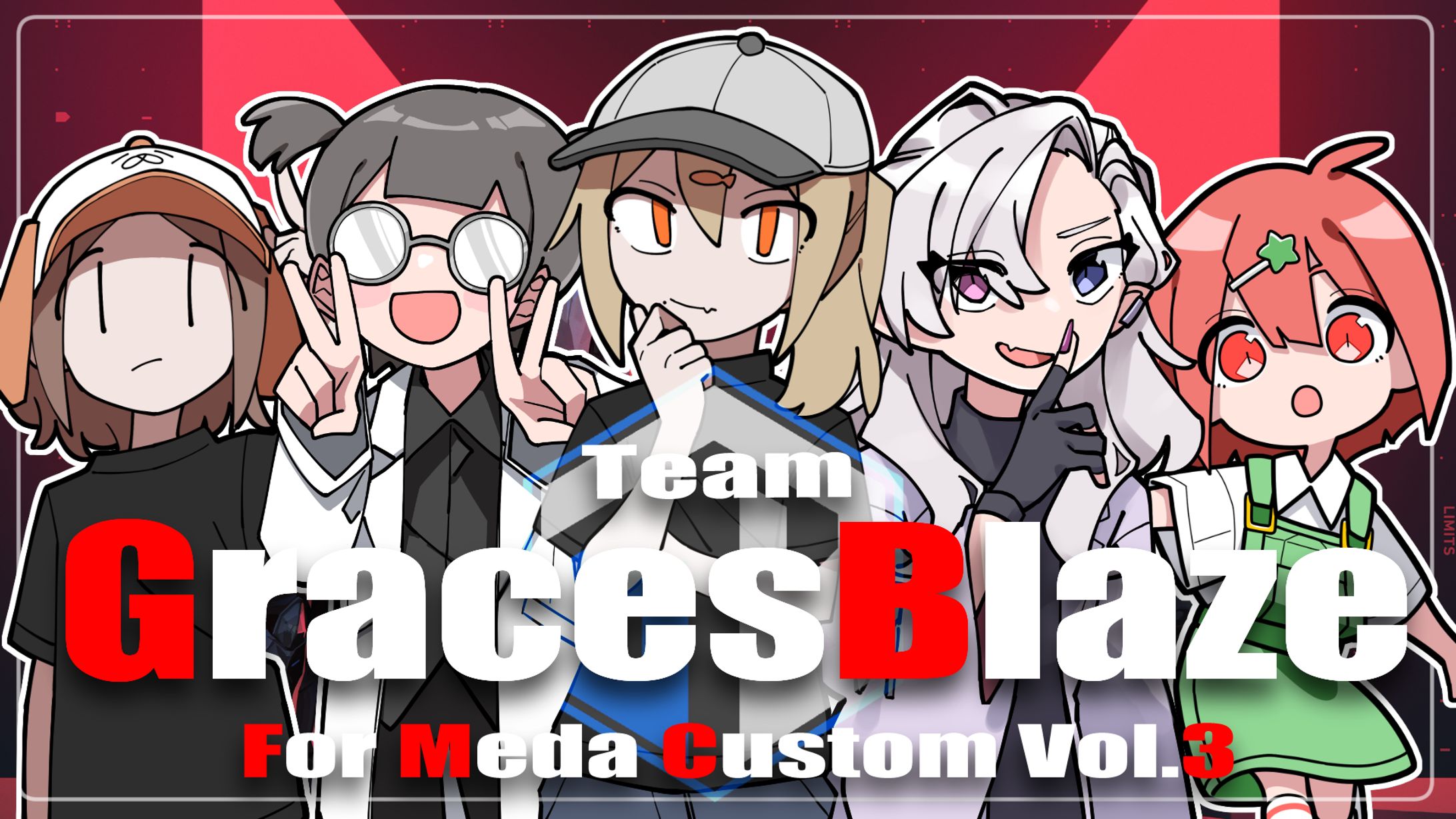 チームGBinメダカスタムvol.3-1