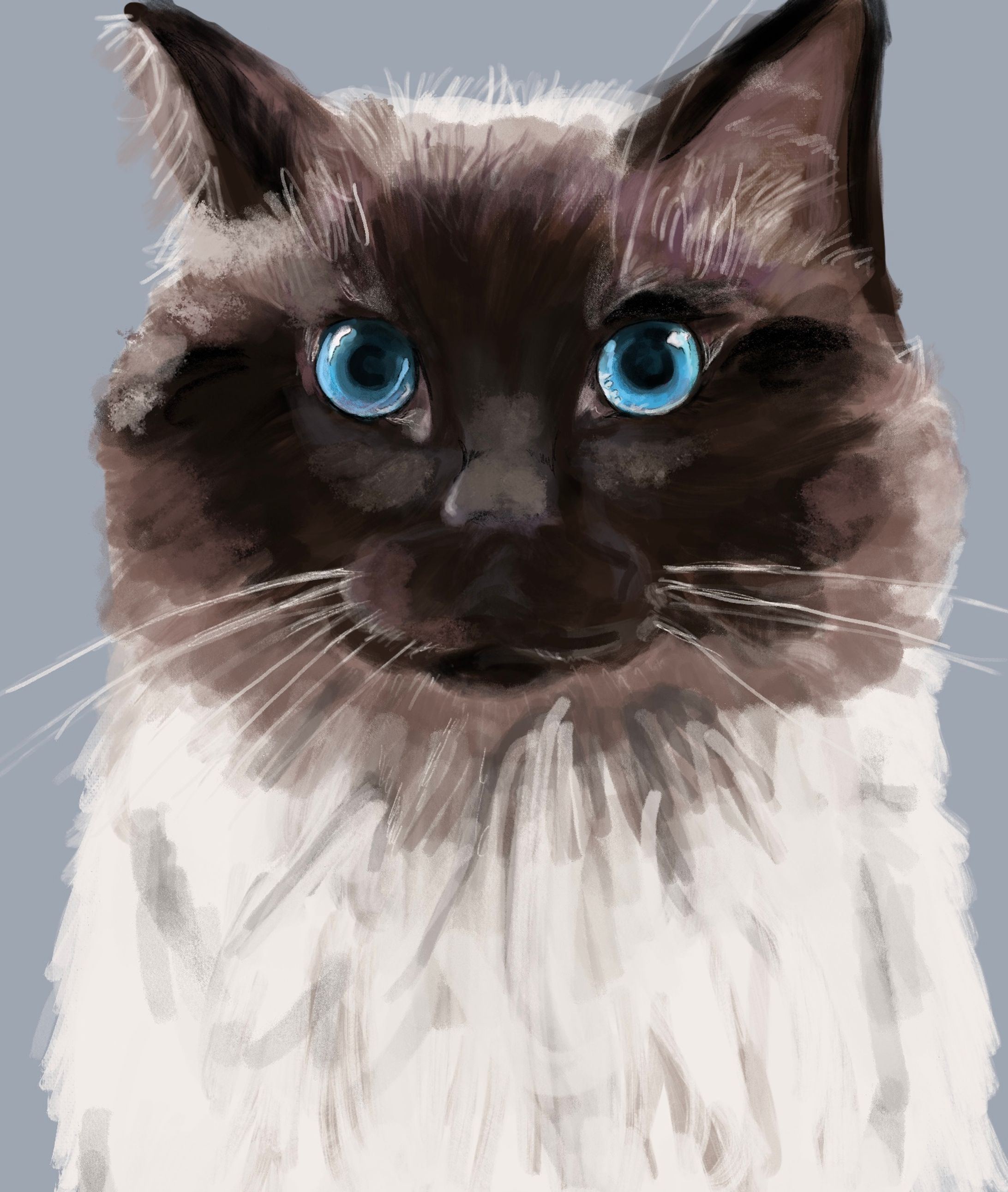 イラスト-1