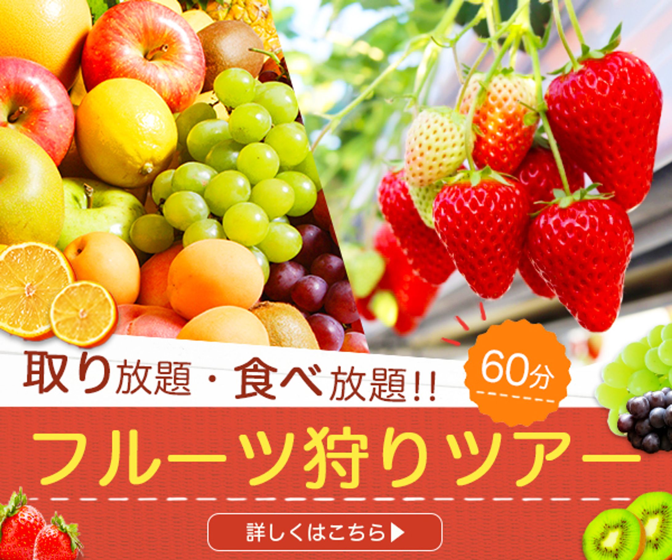 バナー：フルーツ狩りバナー-1