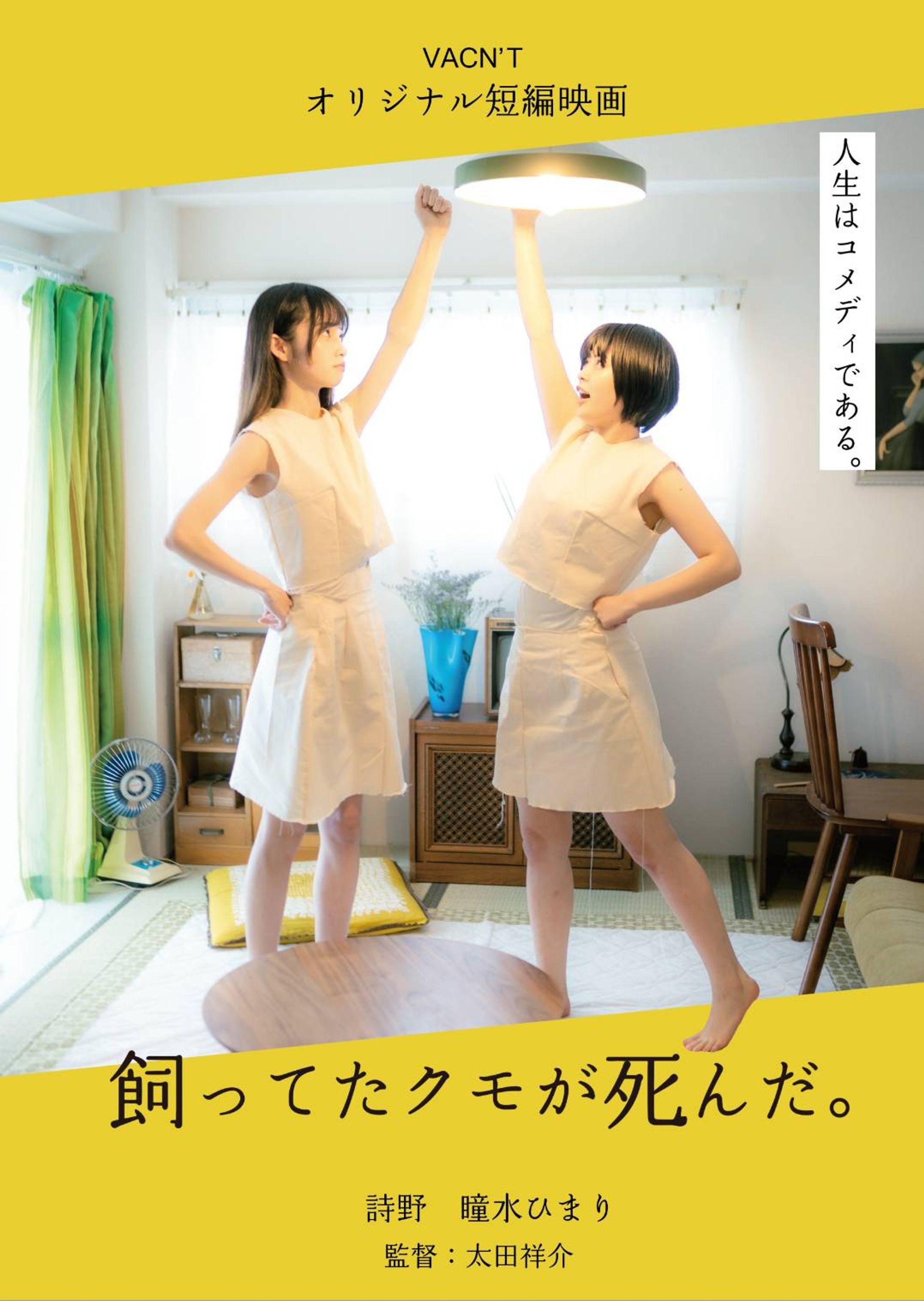 映画「飼ってた蜘蛛が死んだ」パンフレット-1