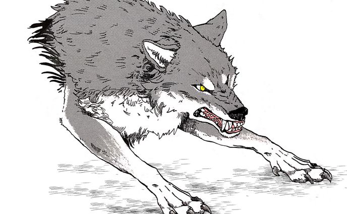 狼　アナログ