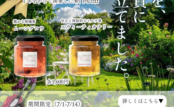 【バナーサンプル】コンフィチュール新作リリース