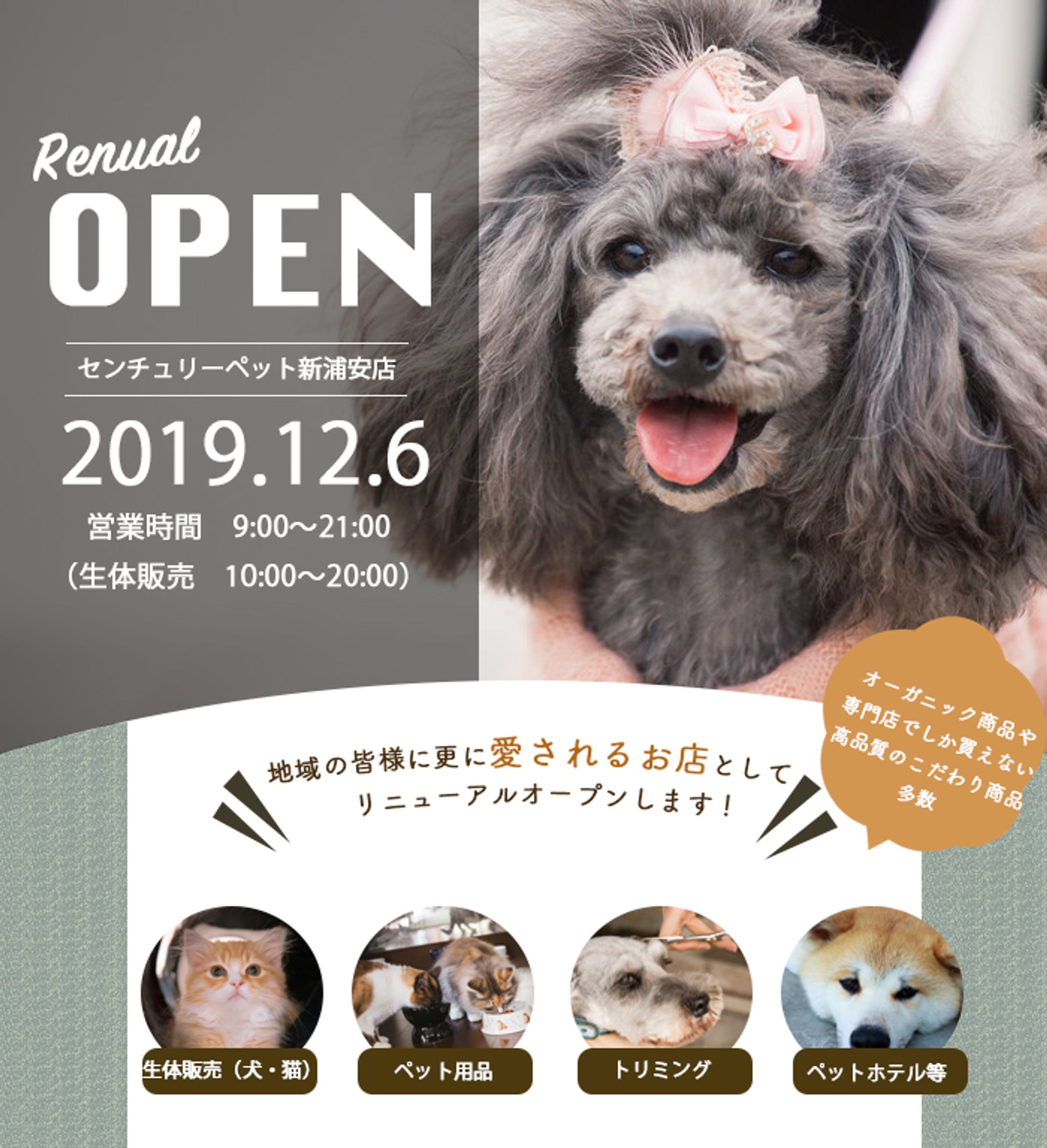 バナー/ペットショップ-1