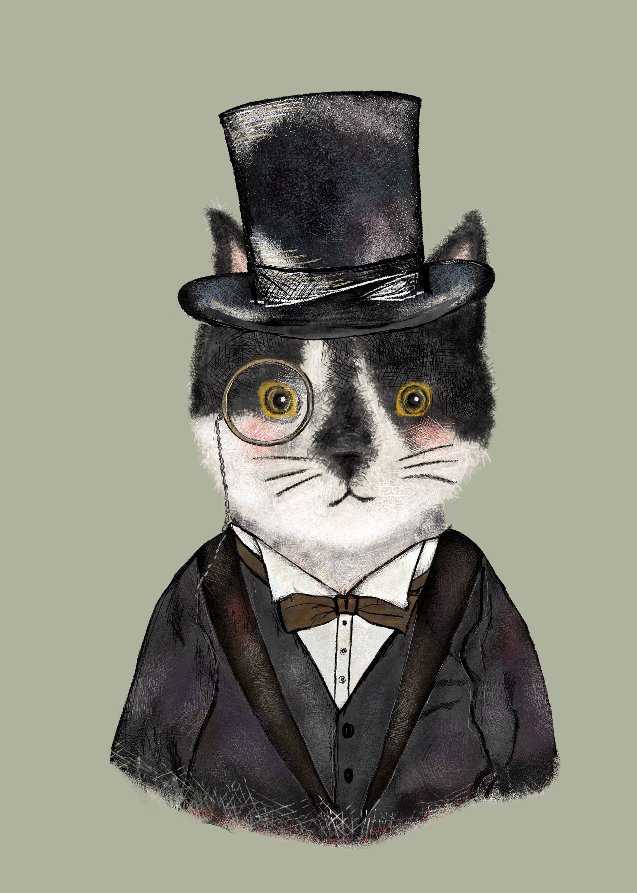 Tuxedo cat-1