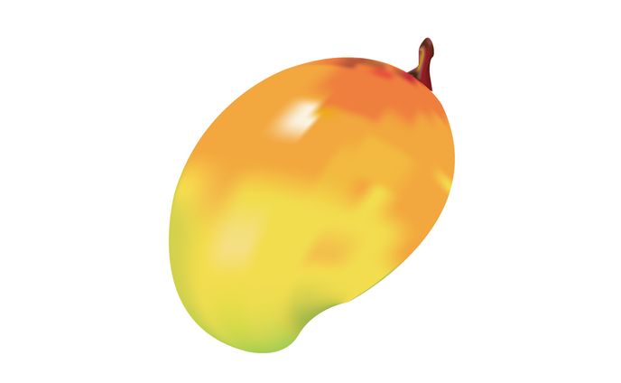 イラストレーターで描いた静物