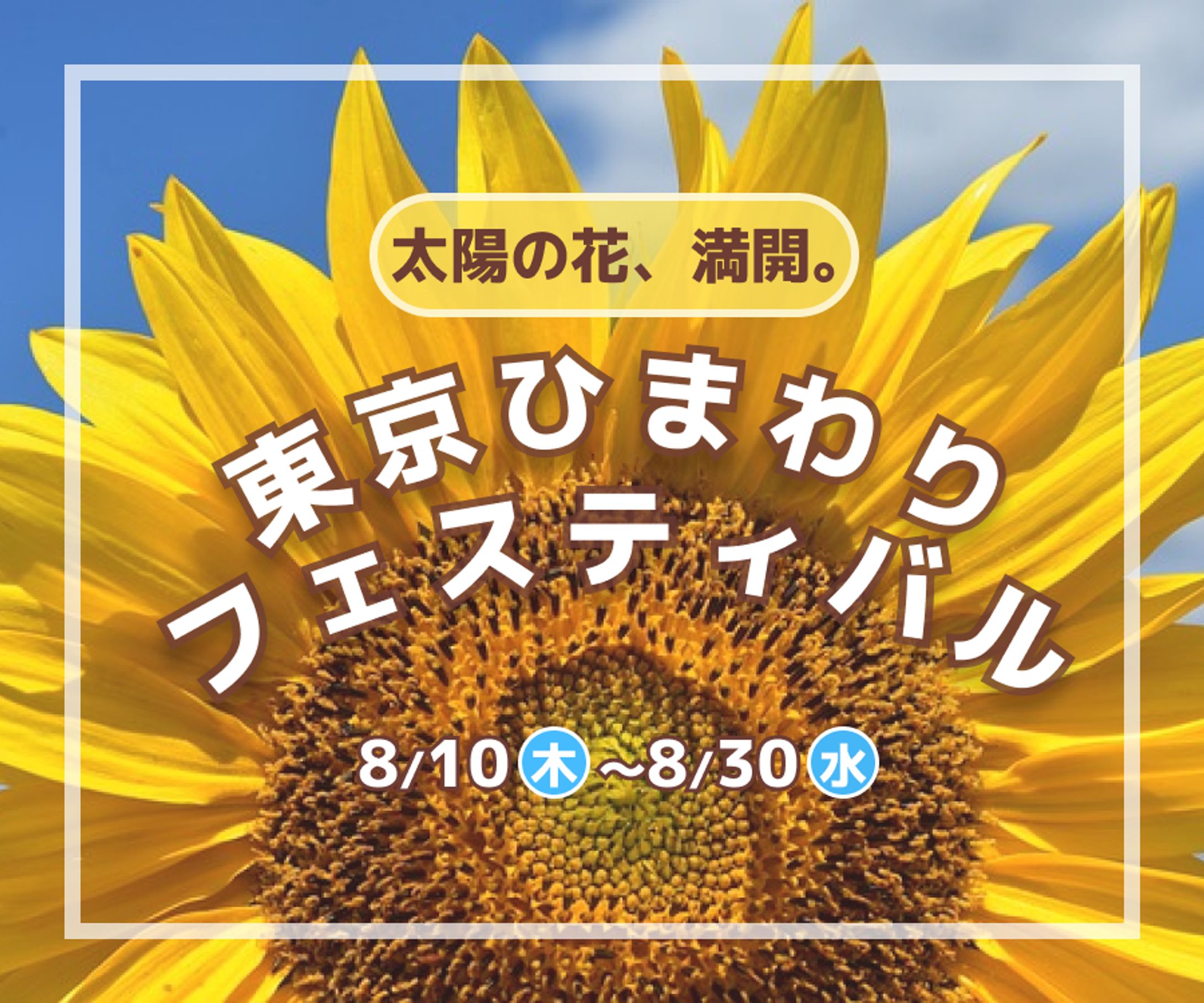 ひまわりフェスティバルバナー　　　＜自主制作＞-1