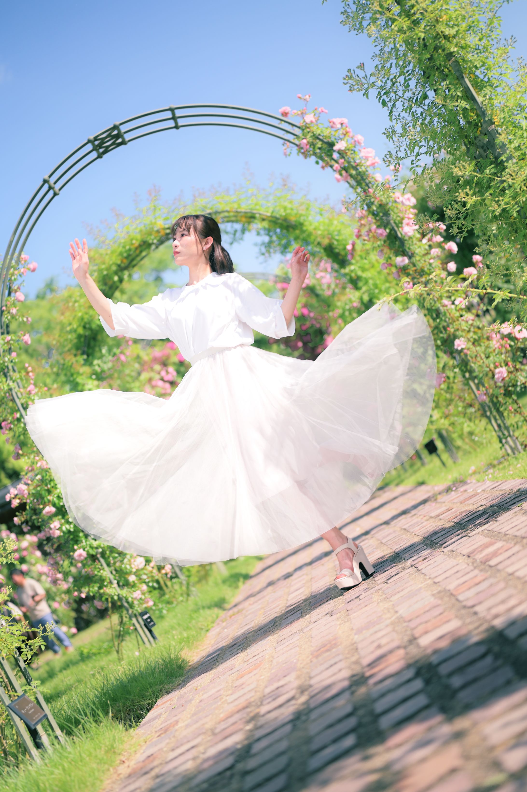 バラ園-1