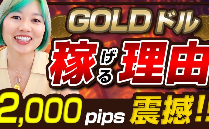 動画制作、coc