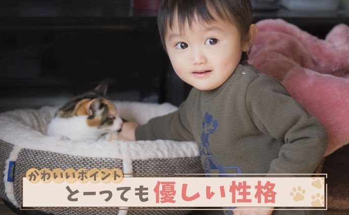テロップベース