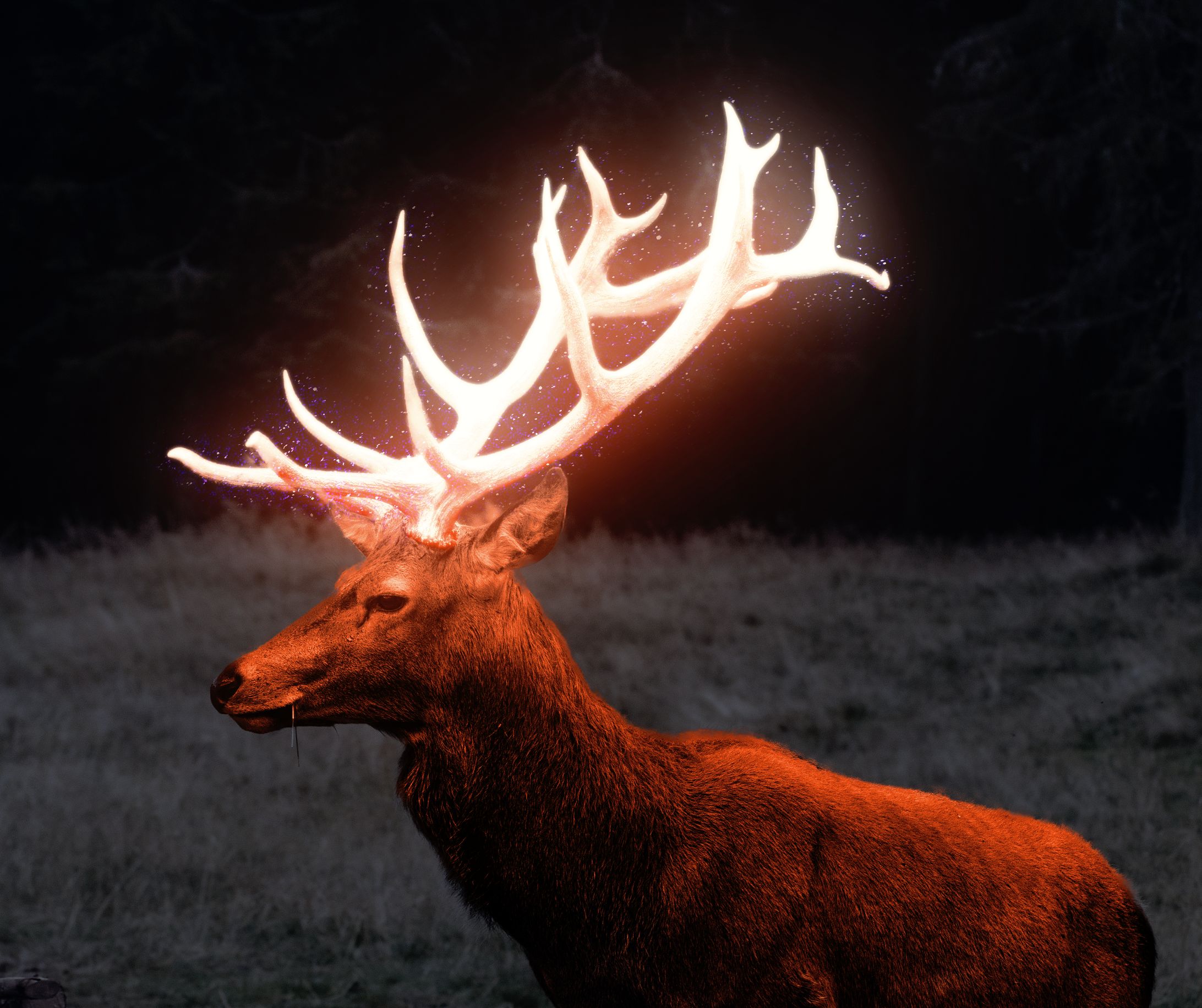 Glow Effect-1