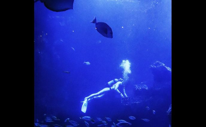 水族館⁡
⁡⁡
⁡ #jpn_photo  #青  #photography  #canon  #canonkissx9i #キリトリセカイ  #京都水族館  #ファインダー越しの私の世界