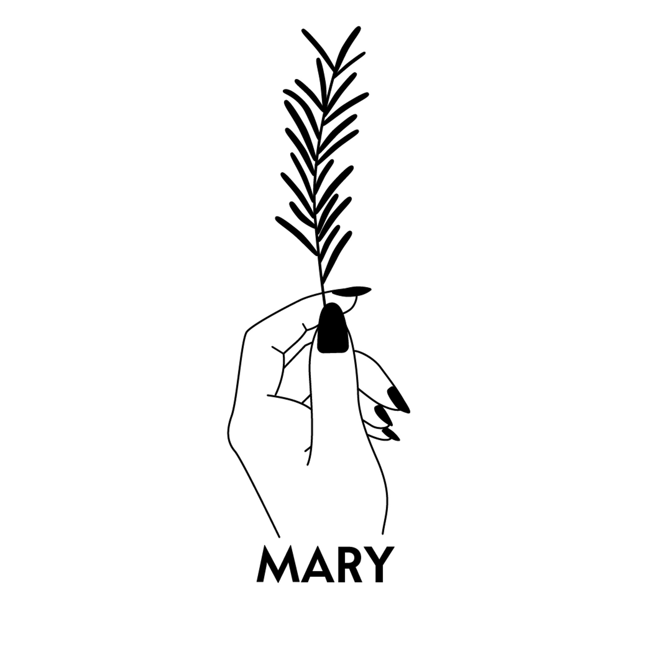 MARY-1