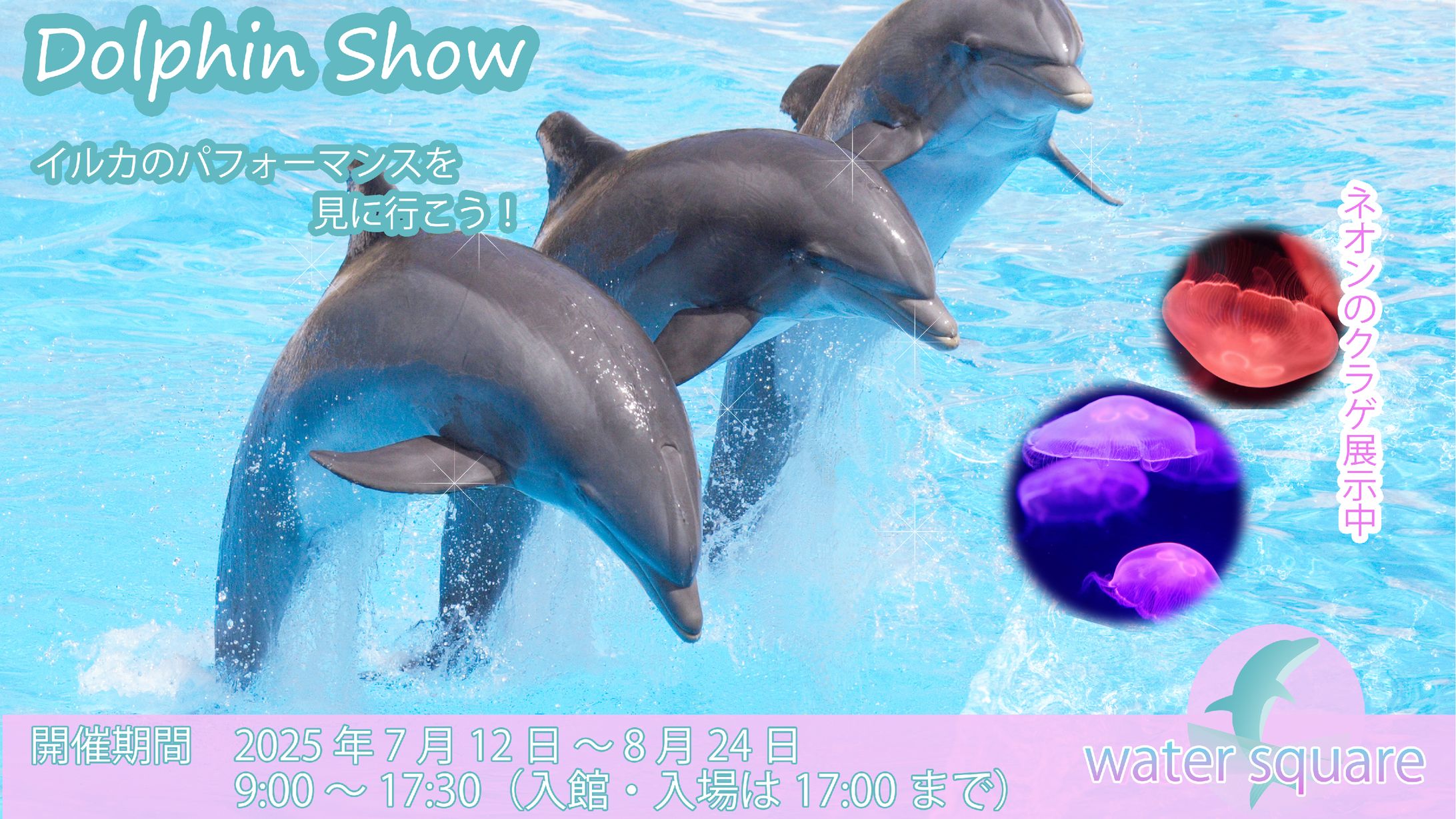 イルカショー-1