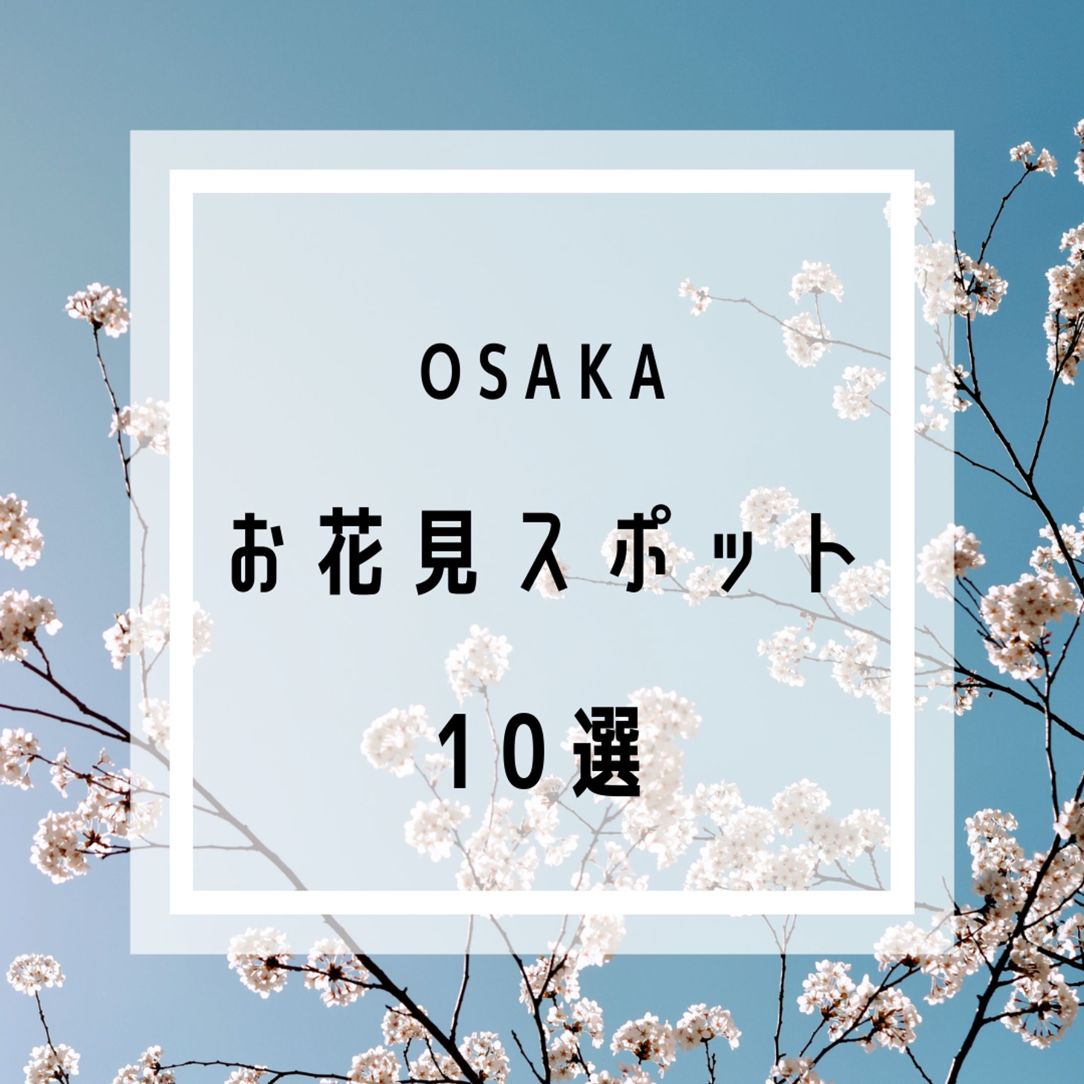 お花見　インスタグラム画像-1