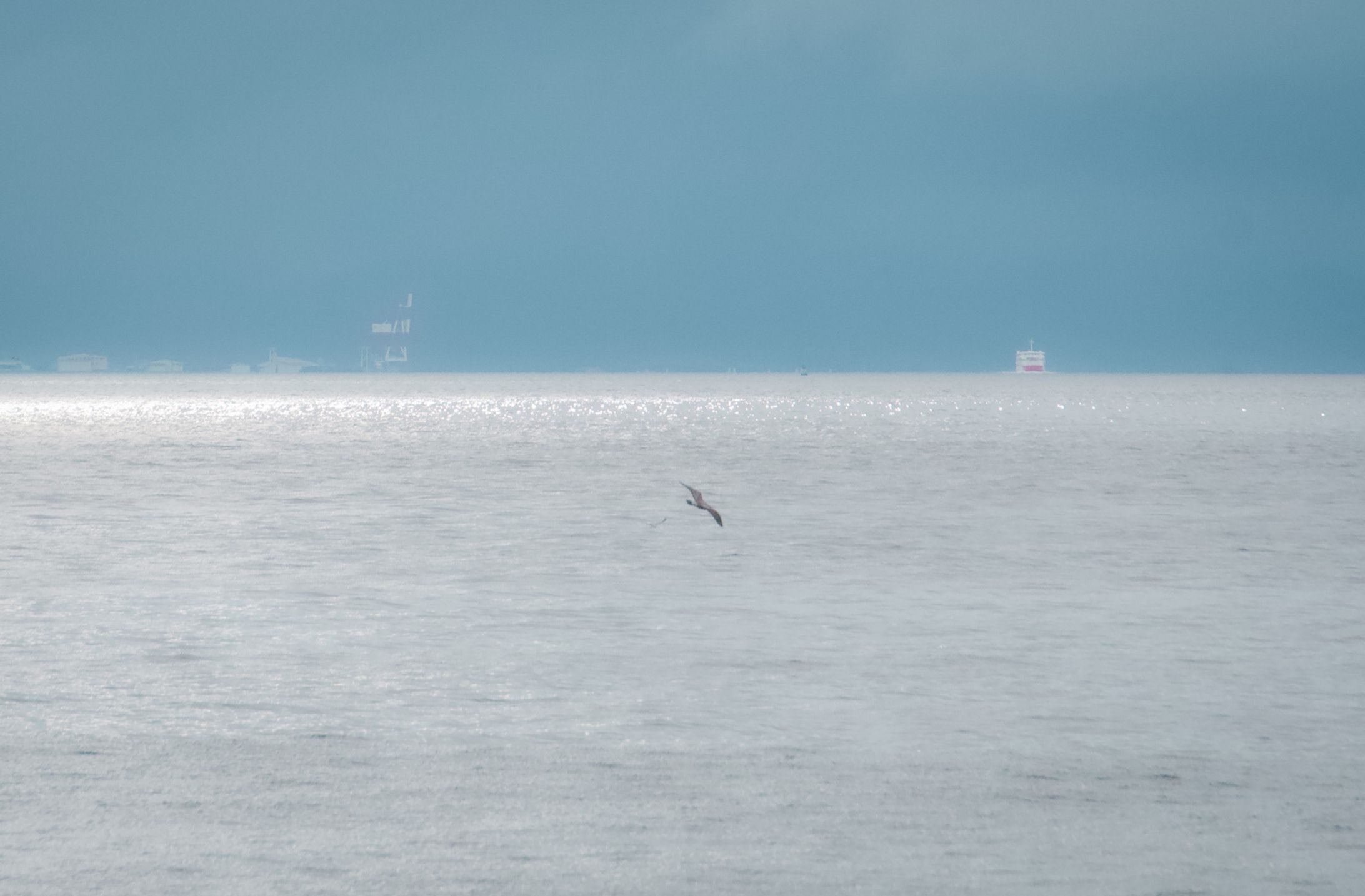 sea color-1