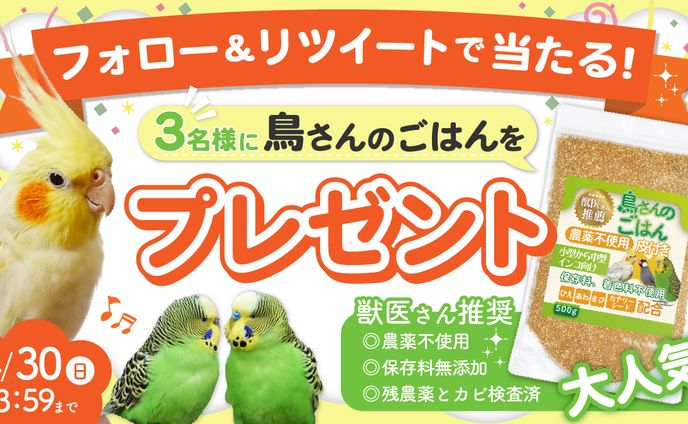 X用キャンペーンバナー実績(ペット用品)