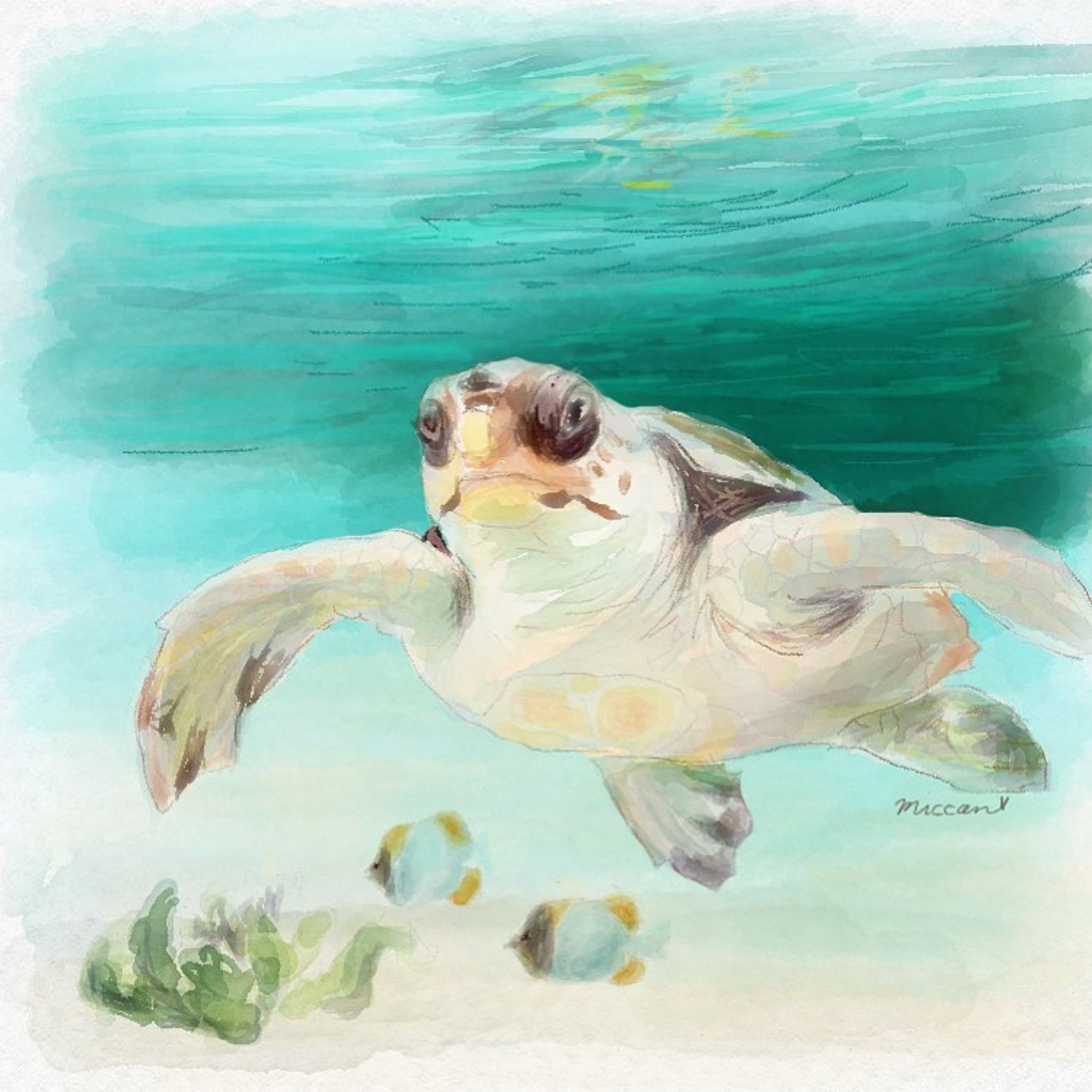 イラスト制作：Sea Turtle-1