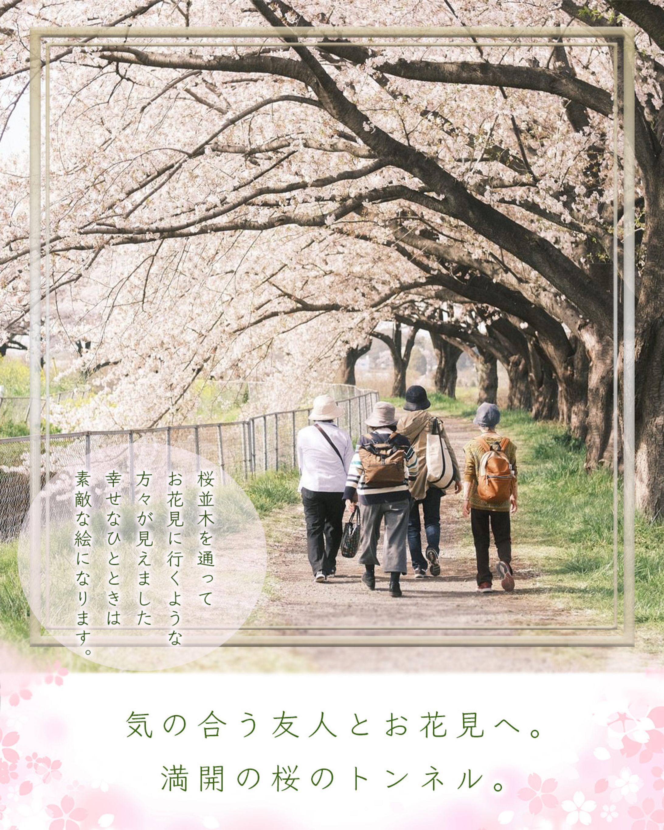 桜スポット　トライアル案件４-1