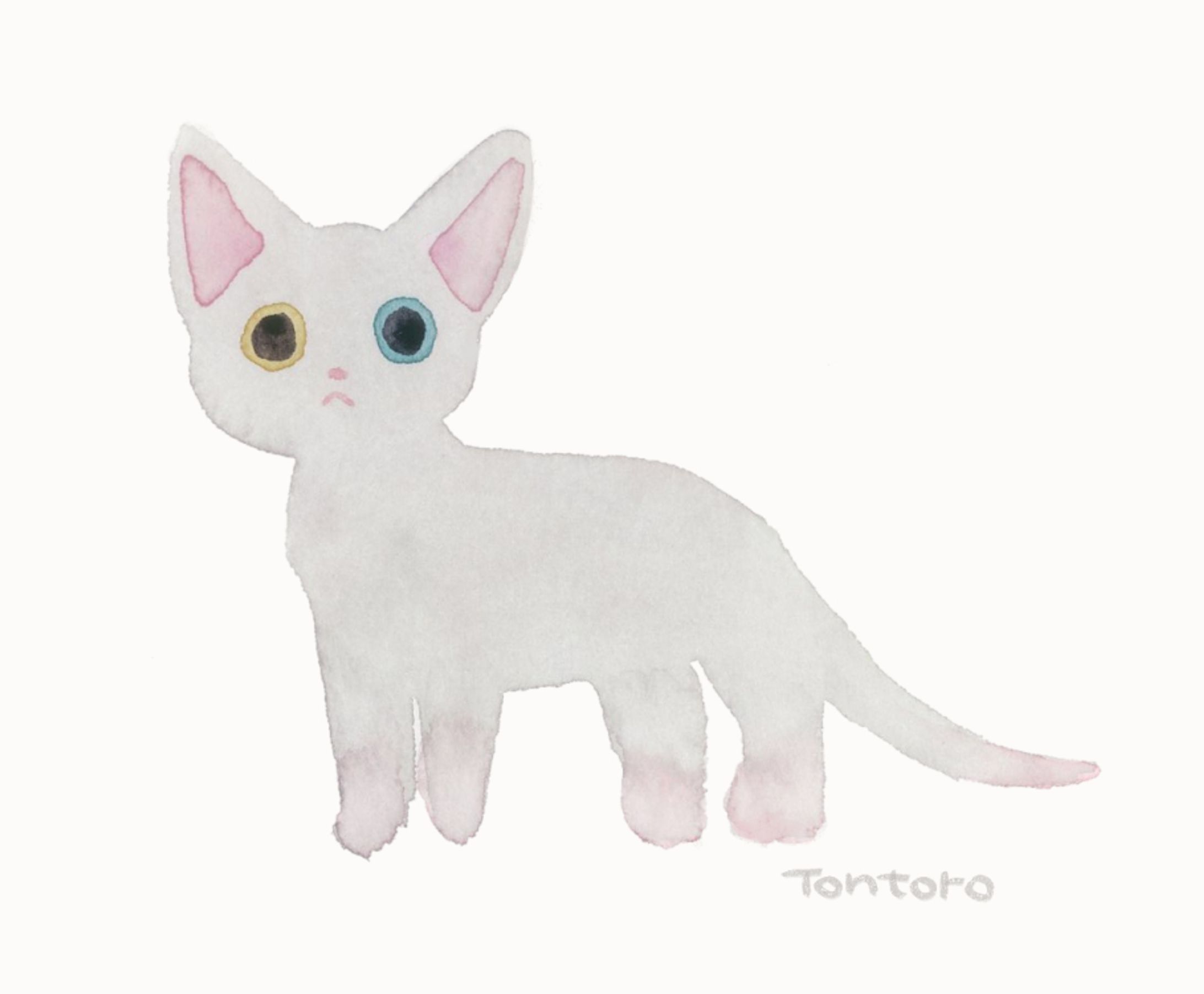 水彩猫（6点）-1