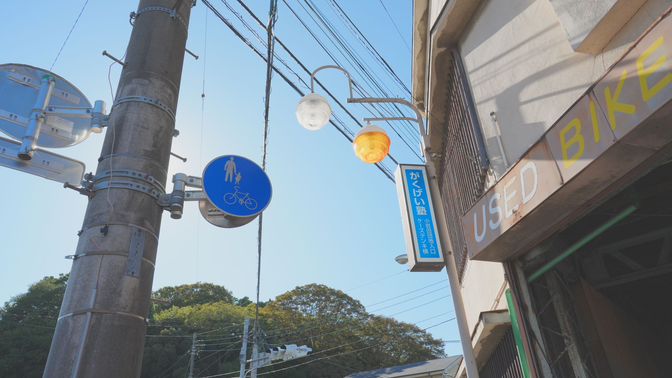 写真-1
