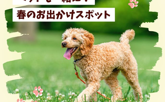 ペットも一緒に！春のお出かけスポット(バナー)