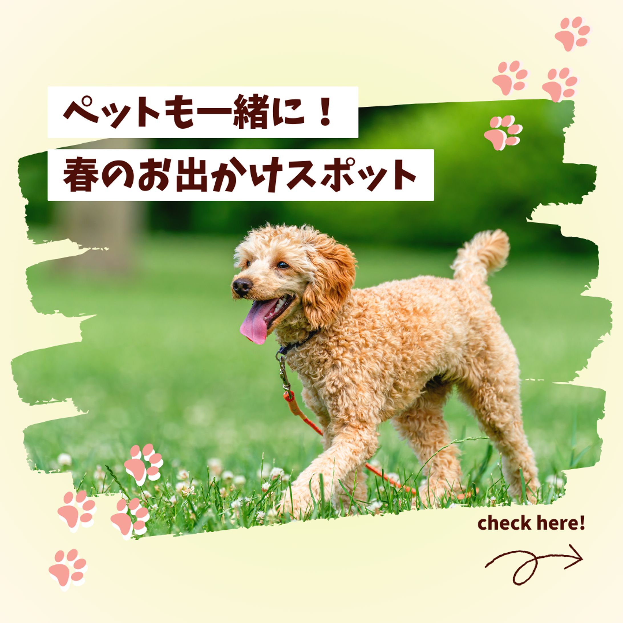 ペットも一緒に！春のお出かけスポット(バナー)-1